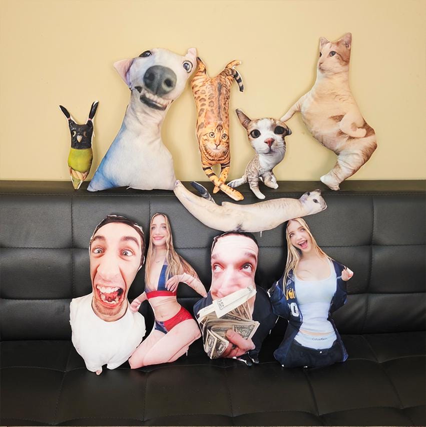 A collection of custom-shaped throw pillows featuring printed photographic images of various animals, including cats and a dog, alongside pillows shaped like human figures with expressive faces and outfits, all arranged together.