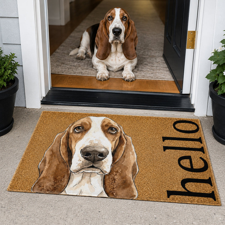 Custom Pet Portrait Watercolor Art - Personalized Funny Doormat - Gift For Pet Lovers, Pet Parents