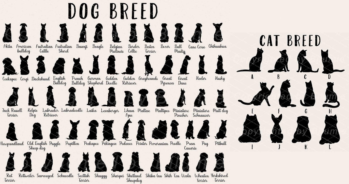 May include: A black and white graphic featuring silhouettes of various dog and cat breeds. The text "DOG BREED" and "CAT BREED" are at the top. Each breed is labeled with its name, such as "Akita" and "Beagle".