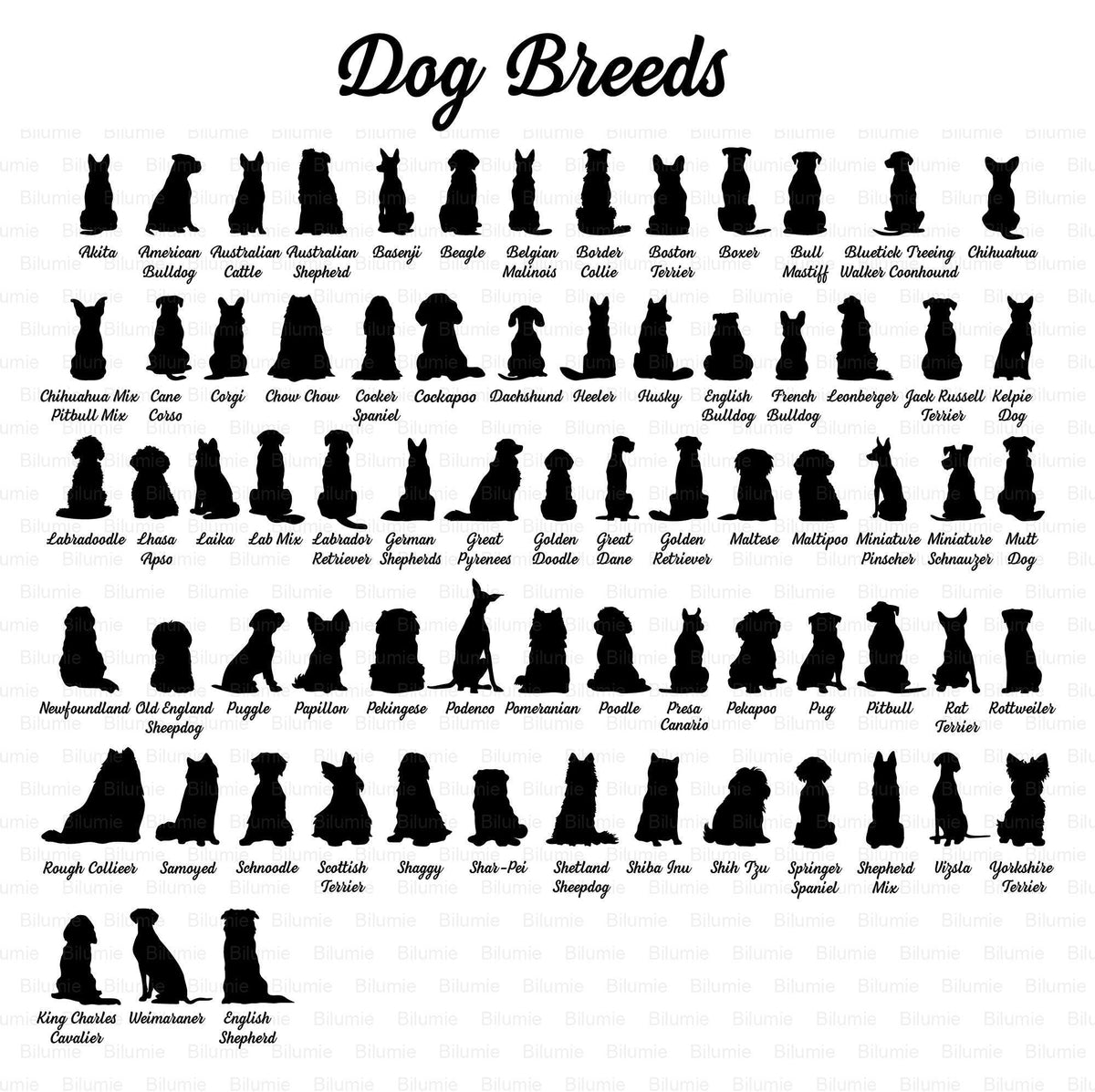 May include: Black and white silhouette images of different dog breeds, arranged in rows. The dog breeds are labeled below each image. The title "Dog Breeds" is at the top of the image.