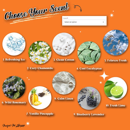 Custom air freshener
photo air freshener
dog air freshener
personalized air freshener
arch shaped gift
arch gift
custom gift
gag gift
ice scent
clean cotton scent
cotton scent
eucalyptus scent
rosemary scent
linen scent
line scent
lavender scent
