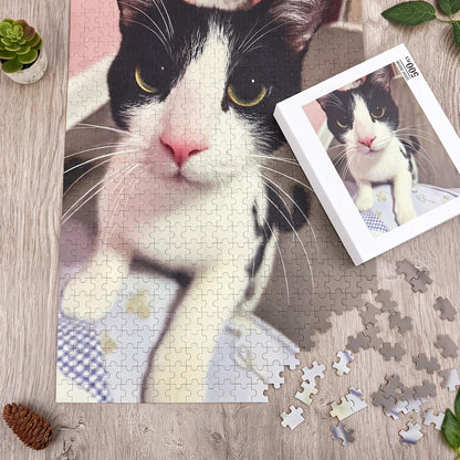A jigsaw puzzle featuring a black and white cat with yellow eyes and a pink nose. The puzzle box shows the same cat image and is labeled 500pcs. Several loose puzzle pieces are scattered near the bottom right of the main puzzle.