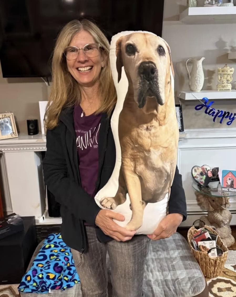 A custom-shaped throw pillow featuring a high-resolution photographic print of a light brown Labrador Retriever dog. The pillow is die-cut to follow the outline of the dog's body, showing the animal in a seated position.