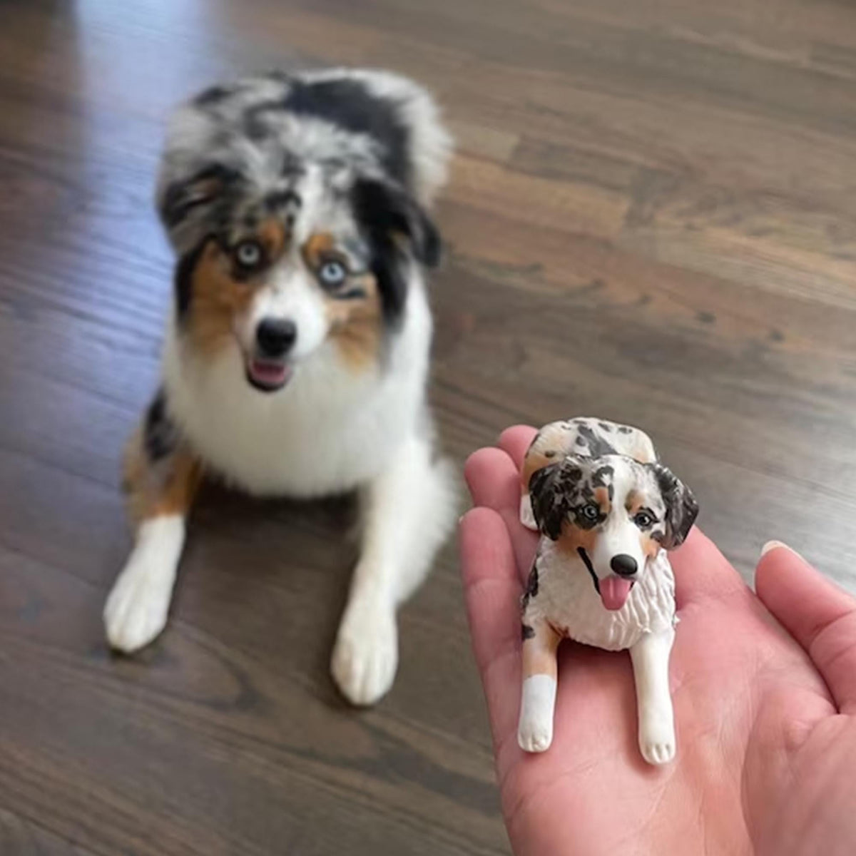 May include: A real-life Australian Shepherd dog next to a miniature figurine of the same dog. The dog has blue eyes, a white chest, and a speckled black, brown, and white coat. The figurine is held in a hand.