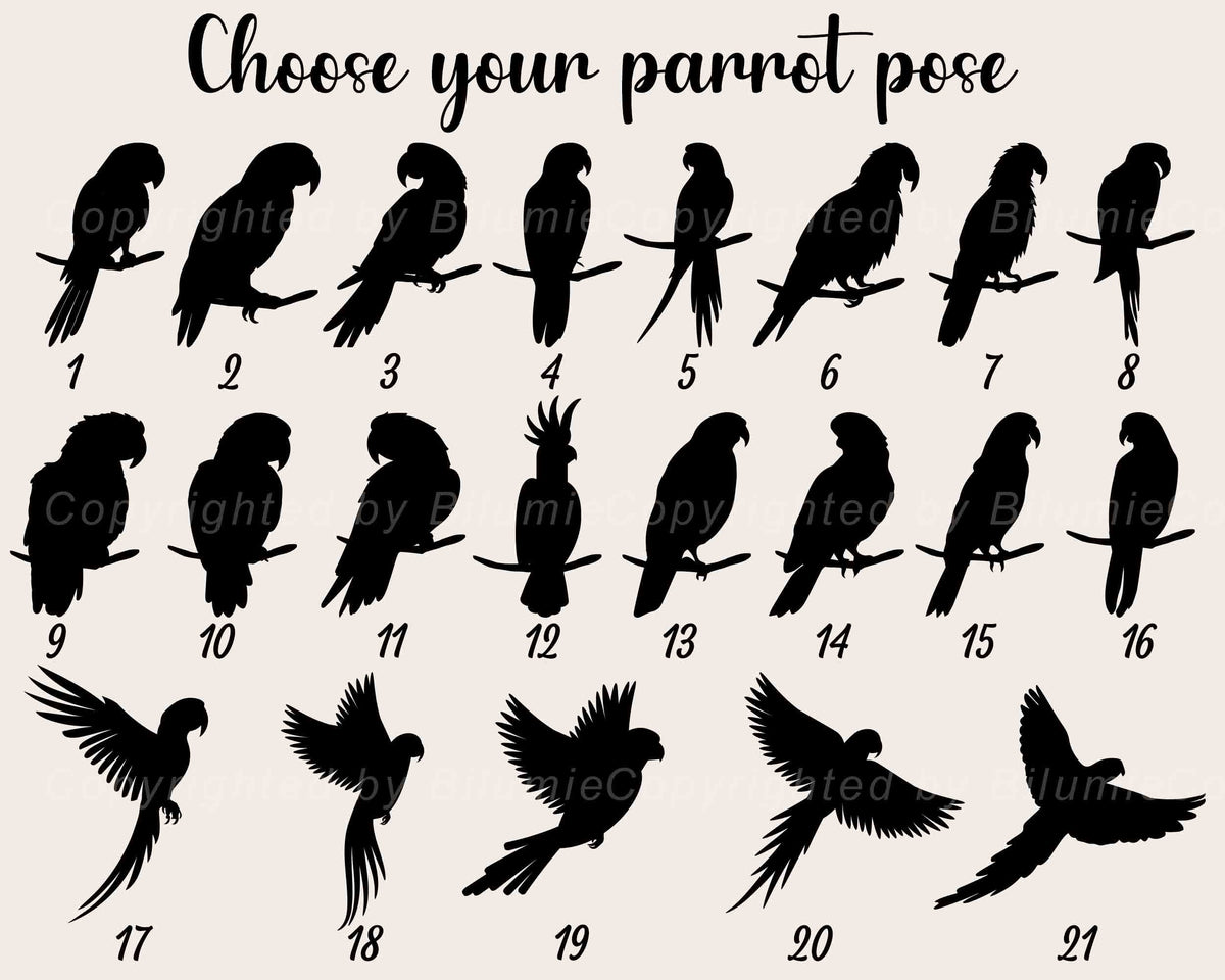 May include: A black and white image showing 21 different parrot silhouettes in various poses. The parrots are all facing forward and are perched on branches. The image is labeled "Choose your parrot pose" and numbered 1 through 21.