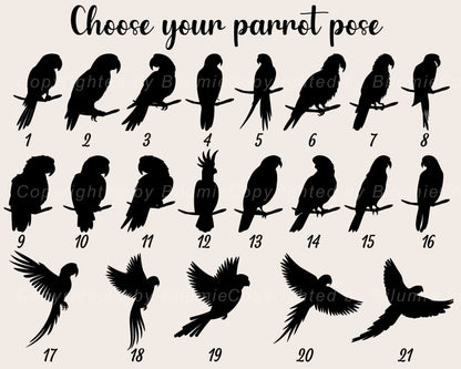 May include: A black and white image showing 21 different parrot silhouettes in various poses. The parrots are all facing forward and are perched on branches. The image is labeled "Choose your parrot pose" and numbered 1 through 21.