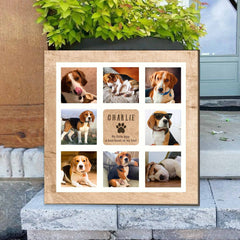 Pet Memorial Photo Collage Frame - Personalized Pet Loss Sympathy Gift - Loss Of Dog Gift