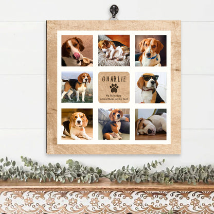 May include: A collage of nine photos of a beagle dog named Charlie. The photos show the dog in various poses, including sleeping, wearing sunglasses, and looking at the camera. The collage is on a wooden background with the text "Charlie, My little dog, a heartbeat at my feet".