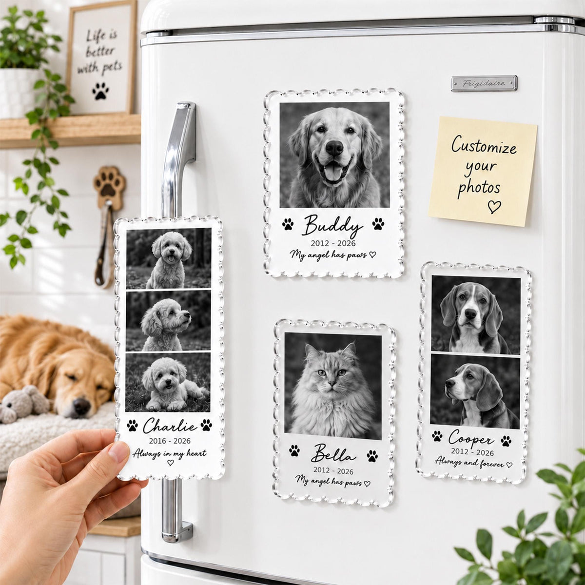 May include: Four rectangular acrylic magnets with scalloped edges featuring black and white pet photos. Each magnet displays a pet name, dates, and a short phrase like My angel has paws or Always in my heart, accented with small paw print icons.