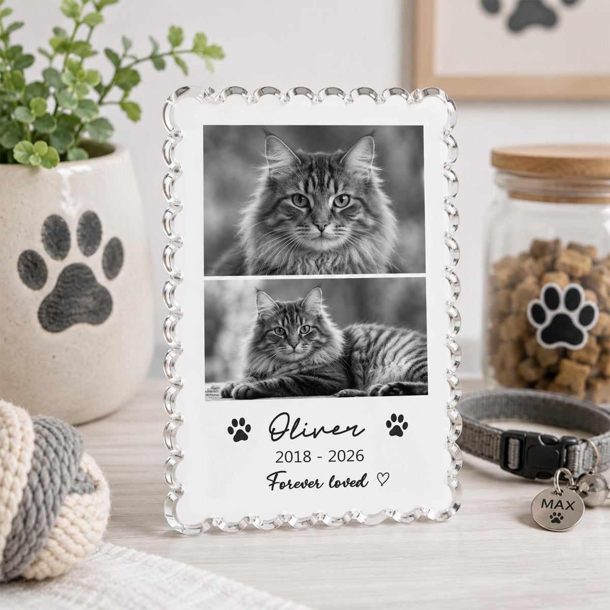 May include: A rectangular glass memorial plaque with a scalloped edge featuring two black and white cat photos, the name Oliver, the years 2018-2026, the text Forever loved, a heart symbol, and two paw print icons printed on the front surface.
