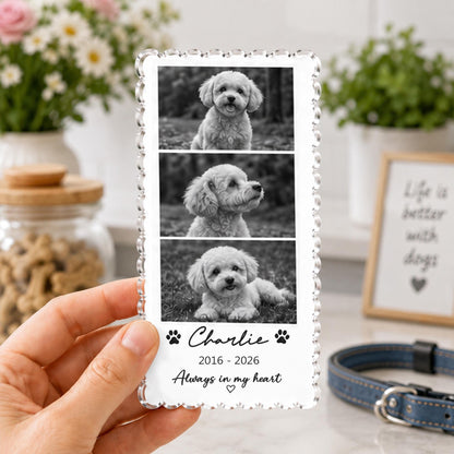 May include: A rectangular acrylic plaque with a scalloped edge featuring three black and white photographs of a small dog stacked vertically. Below the photos, the text reads Charlie, 2016-2026, and Always in my heart, with paw print icons.