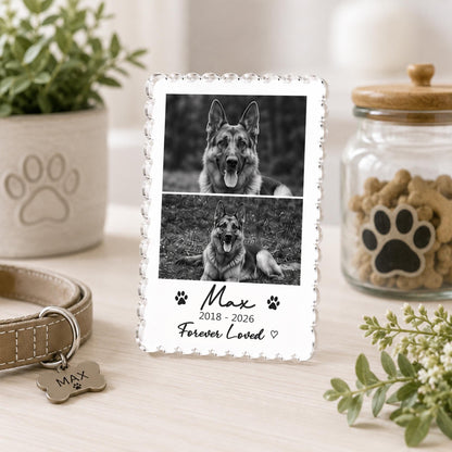 May include: A rectangular acrylic memorial plaque with scalloped edges featuring two black and white photos of a German Shepherd. The text reads Max, 2018-2026, and Forever Loved, accompanied by paw print icons and a small heart symbol.
