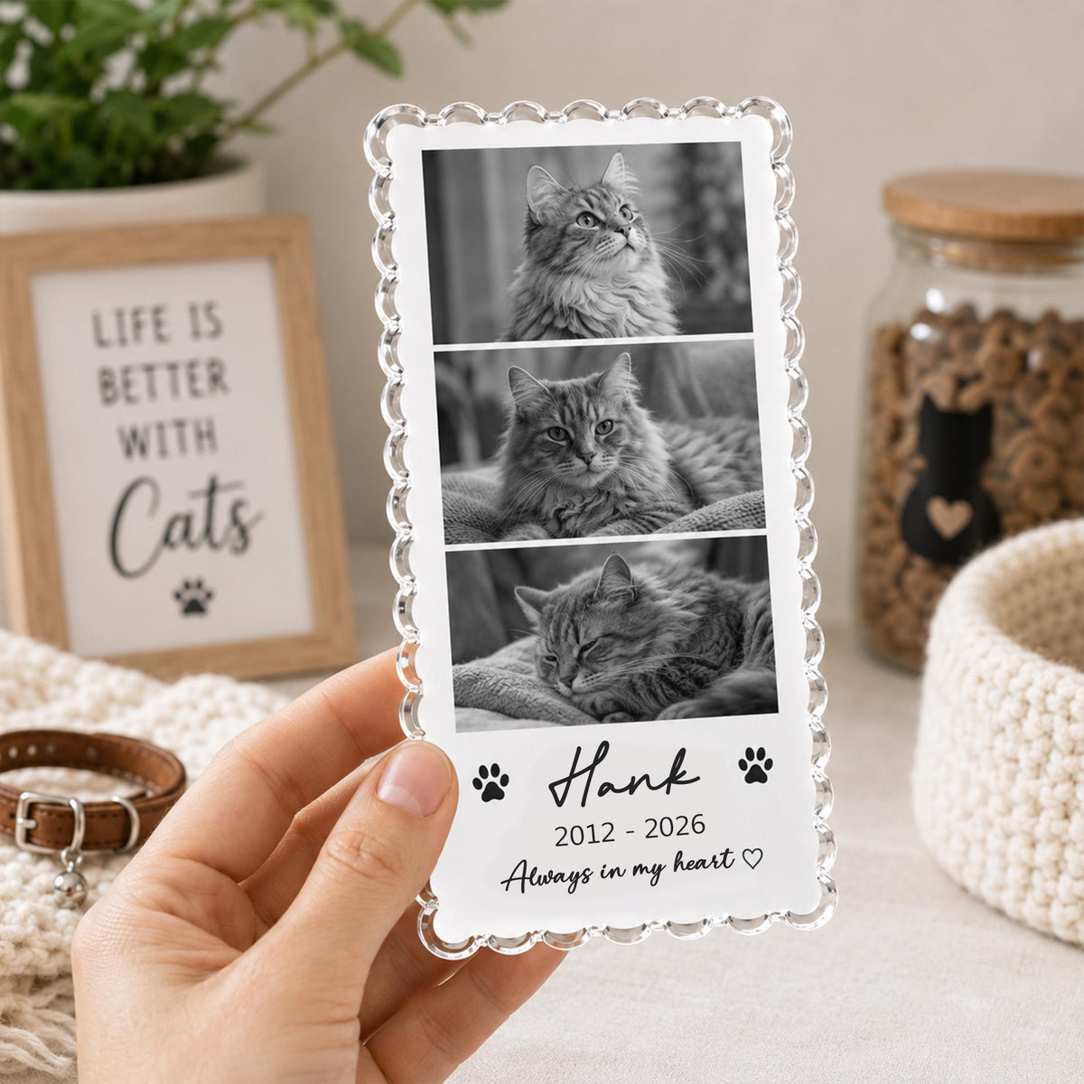 May include: A rectangular acrylic memorial plaque with a scalloped edge featuring three black and white cat photos stacked vertically. The text reads Hank, 2012-2026, and Always in my heart, accompanied by two paw print icons and a small heart symbol.