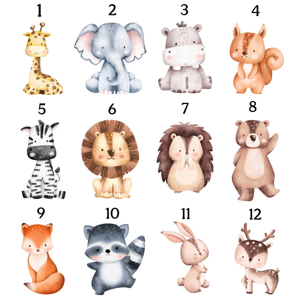 May include: Twelve watercolor illustrations of different animals, each numbered 1 through 12. The animals include a giraffe, elephant, hippopotamus, squirrel, zebra, lion, hedgehog, bear, fox, raccoon, rabbit, and deer.